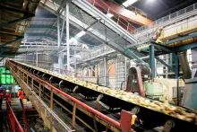 Chaine d'usine de bettrave sucrière - Crédit photo ©Pascal Guittet