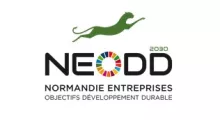 Logo NEODD2030