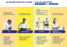 LES MÉTIERS IMPACTÉS OU CRÉÉS PAR LES TRANSITIONS ÉCOLOGIQUE ET NUMÉRIQUE - Leem