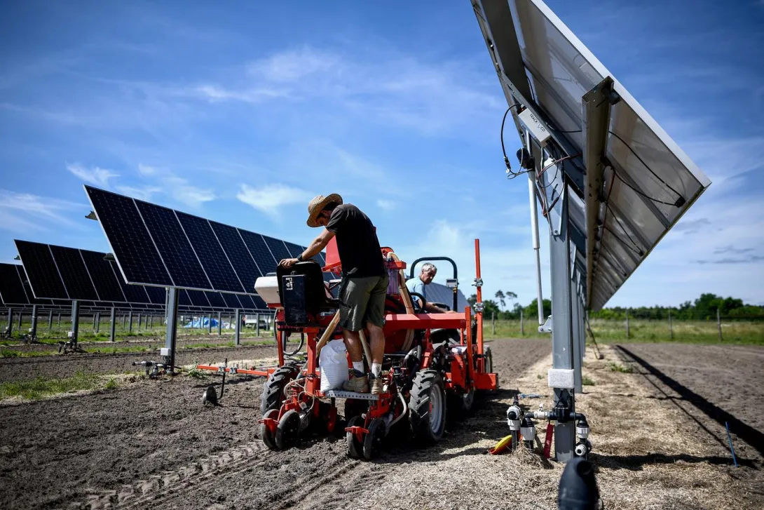 Exemple champ agrivoltaïque