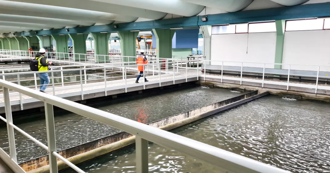 Bassin de Véolia - Crédit photo Jean-François Michel 