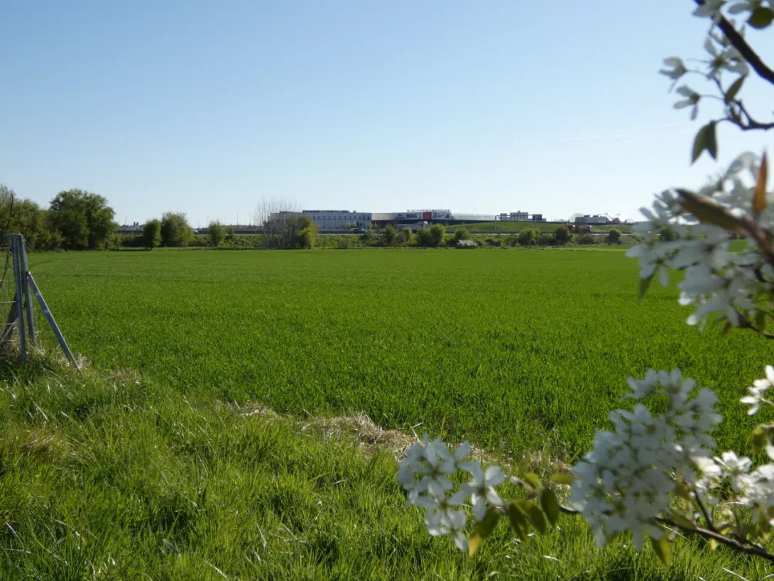 Si le projet se concrétise, ID Logistics s’installera sur la parcelle de la zone sud de Normandie Parc, à Douains (Eure) qui longe l’A13, en face de McArthurGlen. ©Le Démocrate vernonnais