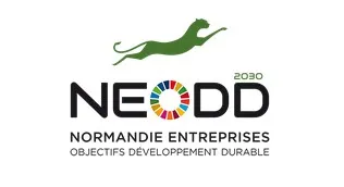 Logo NEODD2030